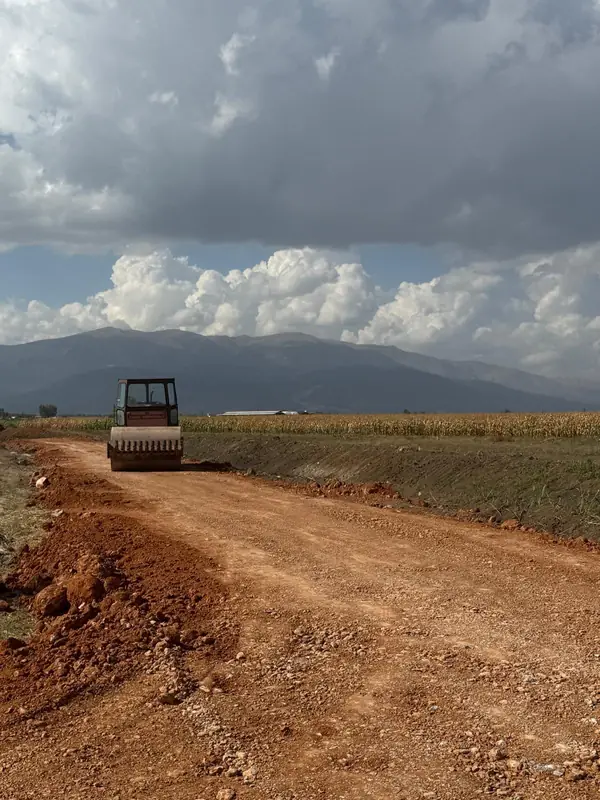 Yeni serilen stabilize yolu sıkıştıran silindir, yanında mısır tarlası